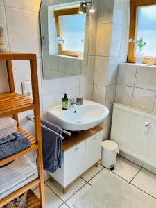 a bathroom with a sink and a mirror and a toilet at Landurlaub auf Hinners-Hoff in Bendingbostel