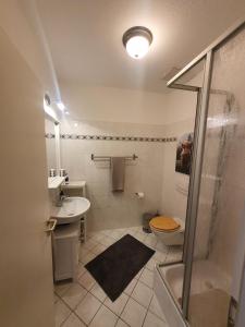 a bathroom with a shower and a toilet and a sink at Sonniges Altstadt Nest in Magdeburg