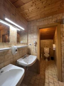 a bathroom with a sink and a toilet at Rifugio Frara in Selva di Val Gardena