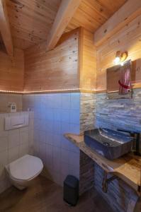 a bathroom with a toilet and a sink at Haus Monika Silvrettablick in Sankt Gallenkirch