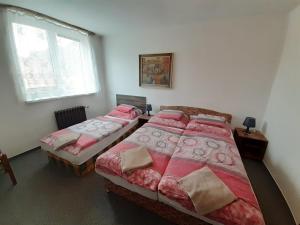 1 dormitorio con 2 camas y ventana en Penzion Oráč, en Velemín