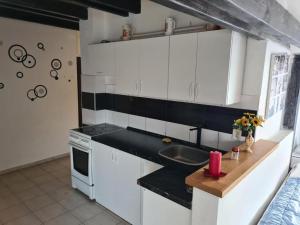 a kitchen with white cabinets and a sink at Pension Pod Lipou in Nová Ves v Horách