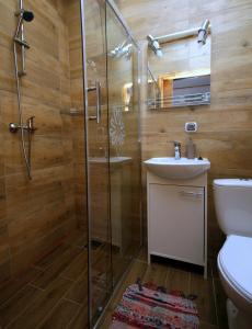 a bathroom with a shower and a toilet and a sink at Pod Słowackim in Szczawnica