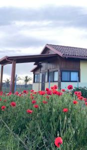 um campo de flores vermelhas em frente a uma casa em Spiaggia Le Dune Residence em Margherita di Savoia