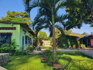 Puerto ColombiaにあるHostal Nova Colonialの椅子とヤシの木のある庭