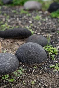 Fotografie z fotogalerie ubytování Leticia villa Santorini with heated jacuzzi v destinaci Vourvoúlos