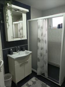 Kupatilo u objektu ARIANA apartman