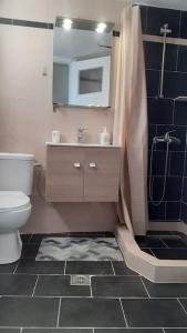 ein Bad mit einer Dusche, einem WC und einem Waschbecken in der Unterkunft Βαγγέλης in Kardítsa