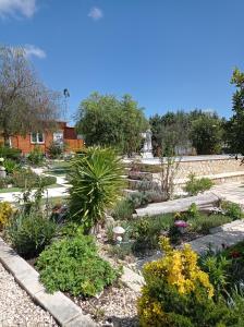 Κήπος έξω από το Quinta das Hortênsias I Quinta do Sol