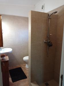 La salle de bains est pourvue d'une douche, de toilettes et d'un lavabo. dans l'établissement Quinta das Hortênsias I Quinta do Sol, à Cruz do Campo