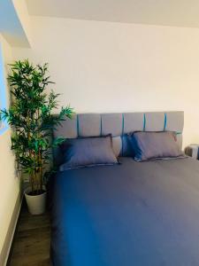 a blue bed with two pillows and a plant at Studio confortable in Deauville
