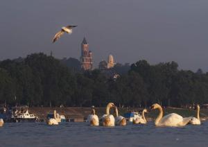 Příroda nedaleko apartmánu
