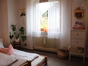 1 dormitorio con cama y ventana en Große Wohnung mit Balkon Sulzbergblick in Alpirsbach, en Alpirsbach