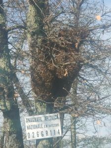 un cartel en un árbol con un cartel en él en Bio Agriturismo Il Cavone, en Sovana
