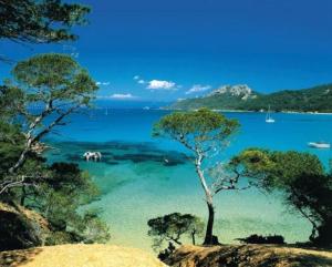 Fotografia z galérie ubytovania Maisonnette climatisée à 35m de la plage de La Capte Hyères v destinácii Hyères