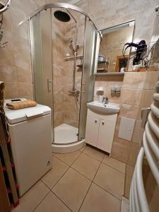 Kúpeľňa v ubytovaní Jurincom apartments