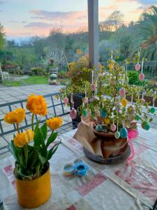Una mesa con flores en macetas. en Bio Agriturismo Il Cavone, en Sovana