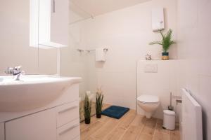 La salle de bains blanche est pourvue d'un lavabo et de toilettes. dans l'établissement Am Bergelchen 60-B, Winterberg-Niedersfeld, à Winterberg