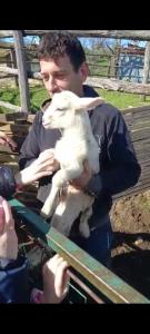 un homme tenant un mouton blanc entre ses mains dans l'établissement Bio Agriturismo Il Cavone, à Sovana