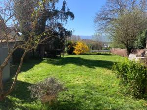 a yard with green grass and a tree at Maison de village entre lac et montagnes in Loisin