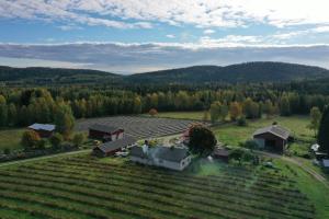 an aerial view of a farm with a house in a field at Maatilamatkailu Jänisvaara in Kolinkylä