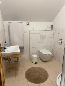 Ett badrum på Vinařský apartmán Simenon