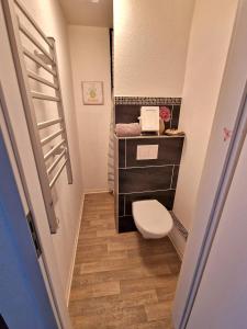 a small bathroom with a toilet and a sink at Gästequartier mittendrin in Coswig Anhalt in Coswig