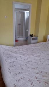 a bedroom with a bed and a bathroom with a shower at Constantinescu A in Buşteni