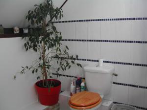 Koupelna v ubytování L'Auvraire B&B