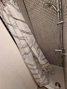 a shower curtain in a bathroom with a shower at Gästequartier mittendrin in Coswig Anhalt in Coswig