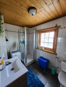 y baño con lavabo, aseo y ducha. en Haus am Mühlenberg, en Deetz