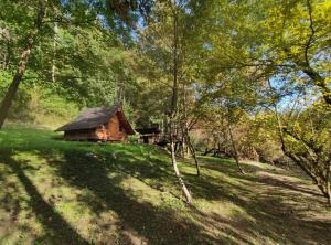 a log cabin in the middle of a field with trees at Kolibe - Robinson camp Kupa in Netretić +51 photos