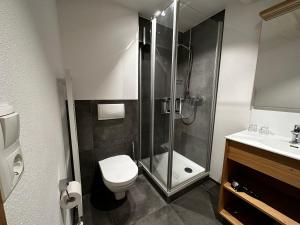 ein Bad mit einer Dusche, einem WC und einem Waschbecken in der Unterkunft Gasthof Goldene Krone in Pottenstein