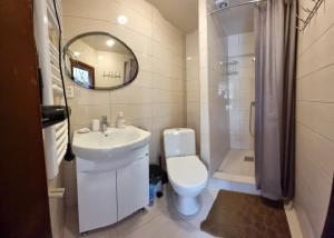ein Badezimmer mit einem WC, einem Waschbecken und einem Spiegel in der Unterkunft Коло Гір in Kolotschawa