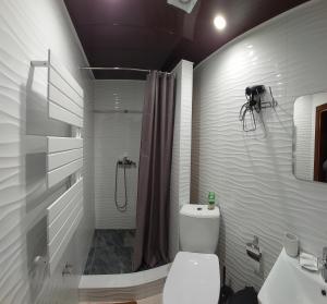 La salle de bains blanche est pourvue d'une douche et de toilettes. dans l'établissement Коло Гір, à Kolochava