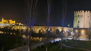 un castillo y un puente con una torre por la noche en Albolafia junto Puente Romano, en Córdoba