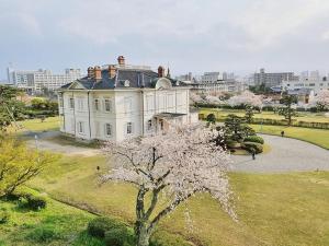 a large white house with a tree in a park at Whole house rental 一棟貸切宿 "Your Home Tottori" 市内中心地近くの素敵な一軒家 in Tottori