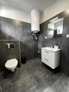 a bathroom with a toilet and a sink and a mirror at MG Apartments Štúrovo in Štúrovo