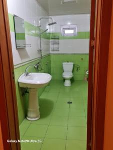 baño verde con lavabo y aseo en Rose House, en Sheki