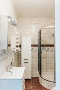 łazienka z prysznicem i umywalką w obiekcie Łódź Fabryczna Apartament w Łodzi +5 zdjęć