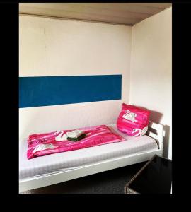 una cama con una manta rosa y una bolsa en ella en Monteurwohnung nähe Bayreuth, Parken frei, Wifi, Küche en Mistelgau