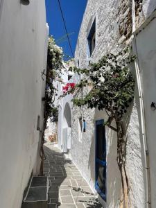 a narrow alley with white buildings and a plant at Traditional Cosy Home in Ios Chora
