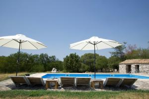 a swimming pool with chairs and umbrellas at At Home In Istria- Villa Stancia Cicada in Žminj