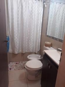 La salle de bains est pourvue de toilettes, d'un lavabo et d'une douche. dans l'établissement Casa Balcón de la Ciudad, à San Fernando del Valle de Catamarca