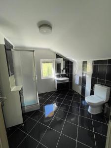 a bathroom with a toilet and a sink at Villa Maria in Nižepole