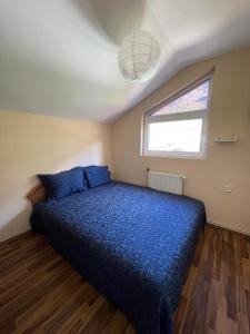 Un dormitorio con una cama azul y una ventana en Villa Maria, en Nižepole
