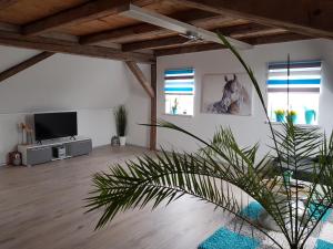 a living room with a flat screen tv and a plant at Ferienhaus Relax Ranch in Hiltpoltstein