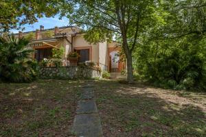 une maison avec un arbre dans la cour dans l'établissement Umbria Country B&B, à Giove