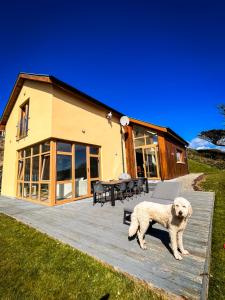 a white dog standing on a deck in front of a house at Barleycove Villa, Goleen, West Cork in Goleen