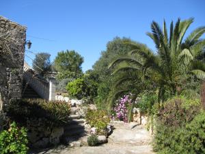 een tuin met een palmboom en bloemen bij Finca Sa Cova Vella in Manacor